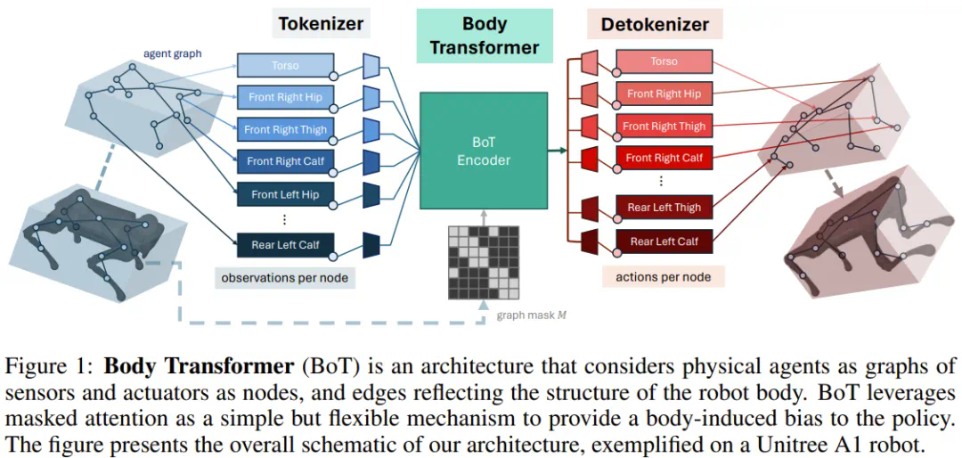 机器人策略学习新范式，伯克利提出Body Transformer
